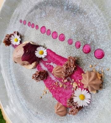 Schockoland auf Erden