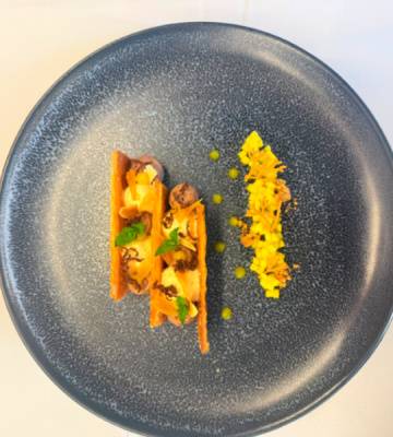 Schokoladen-Chili und Mango-Vanille Mousse Cremeschnitte